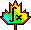 MapleSoft in Waterloo